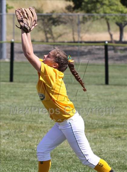 Thumbnail 2 in Livermore vs Castro Valley (Livermore Stampede) photogallery.