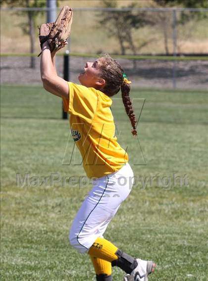 Thumbnail 1 in Livermore vs Castro Valley (Livermore Stampede) photogallery.
