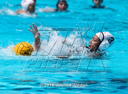 Thumbnail 1 in Clark vs Brennan/Brandeis (Alamo Area Aquatic Association Round Robin) photogallery.