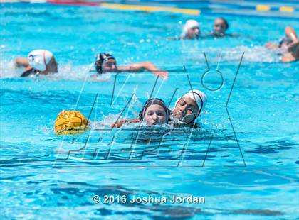 Thumbnail 3 in Clark vs Brennan/Brandeis (Alamo Area Aquatic Association Round Robin) photogallery.