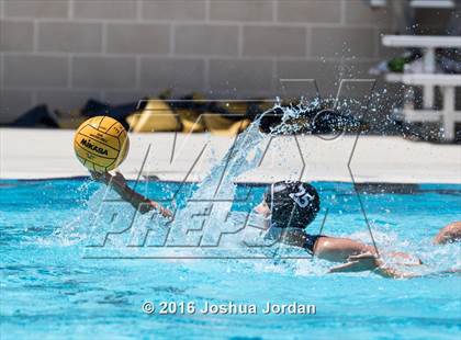 Thumbnail 2 in Clark vs Brennan/Brandeis (Alamo Area Aquatic Association Round Robin) photogallery.
