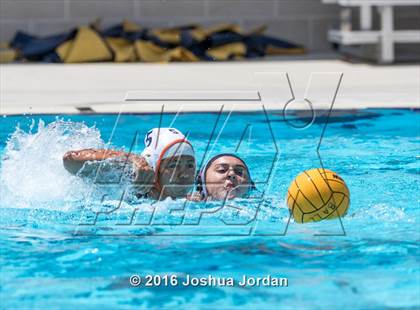 Thumbnail 1 in Clark vs Brennan/Brandeis (Alamo Area Aquatic Association Round Robin) photogallery.