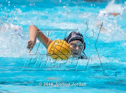 Thumbnail 2 in Clark vs Brennan/Brandeis (Alamo Area Aquatic Association Round Robin) photogallery.