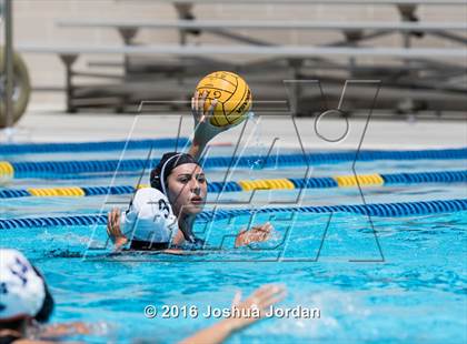 Thumbnail 2 in Clark vs Brennan/Brandeis (Alamo Area Aquatic Association Round Robin) photogallery.