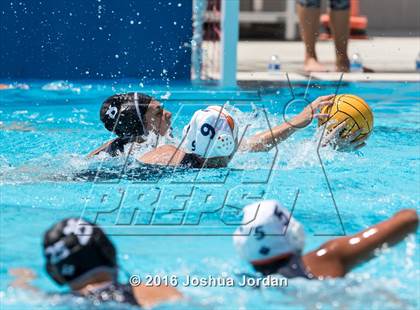 Thumbnail 2 in Clark vs Brennan/Brandeis (Alamo Area Aquatic Association Round Robin) photogallery.