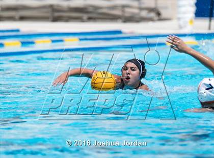Thumbnail 3 in Clark vs Brennan/Brandeis (Alamo Area Aquatic Association Round Robin) photogallery.