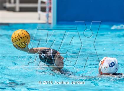 Thumbnail 3 in Clark vs Brennan/Brandeis (Alamo Area Aquatic Association Round Robin) photogallery.