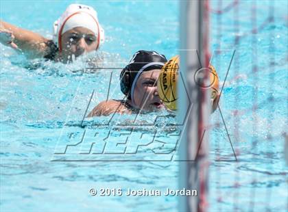 Thumbnail 2 in Clark vs Brennan/Brandeis (Alamo Area Aquatic Association Round Robin) photogallery.