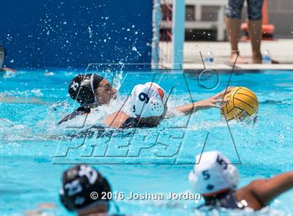 Thumbnail 1 in Clark vs Brennan/Brandeis (Alamo Area Aquatic Association Round Robin) photogallery.