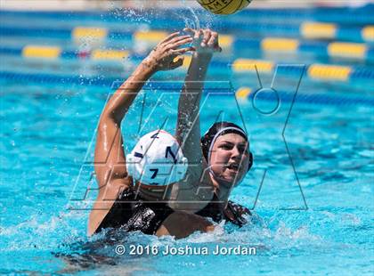 Thumbnail 2 in Clark vs Brennan/Brandeis (Alamo Area Aquatic Association Round Robin) photogallery.