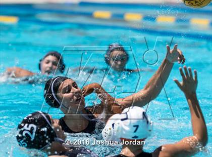 Thumbnail 1 in Clark vs Brennan/Brandeis (Alamo Area Aquatic Association Round Robin) photogallery.