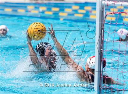 Thumbnail 2 in Clark vs Brennan/Brandeis (Alamo Area Aquatic Association Round Robin) photogallery.