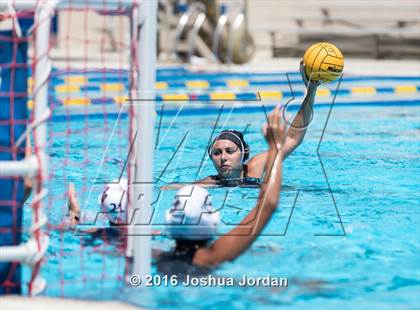 Thumbnail 1 in Clark vs Brennan/Brandeis (Alamo Area Aquatic Association Round Robin) photogallery.