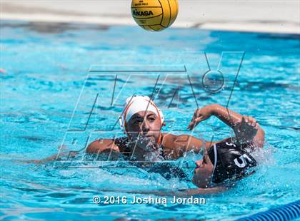 Thumbnail 2 in Clark vs Brennan/Brandeis (Alamo Area Aquatic Association Round Robin) photogallery.
