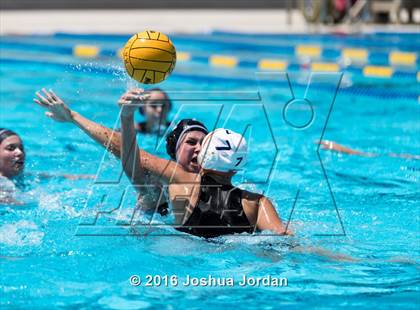 Thumbnail 1 in Clark vs Brennan/Brandeis (Alamo Area Aquatic Association Round Robin) photogallery.