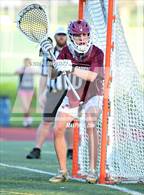 Photo from the gallery "North Haven @ Foran"