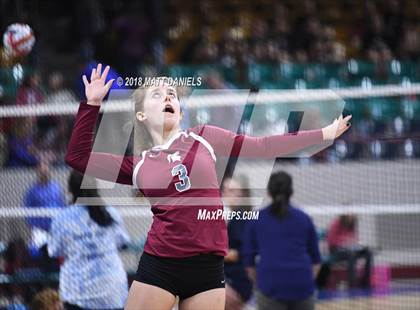 Thumbnail 2 in Mead vs. Berthoud (CHSAA 4A Playoff) photogallery.