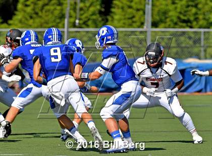 Thumbnail 3 in Stamford @ Darien photogallery.