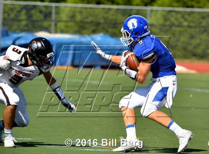 Thumbnail 1 in Stamford @ Darien photogallery.