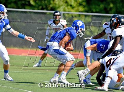 Thumbnail 1 in Stamford @ Darien photogallery.