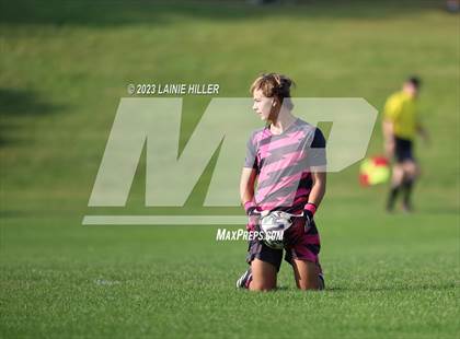 Thumbnail 3 in Buffalo @ Bemidji photogallery.