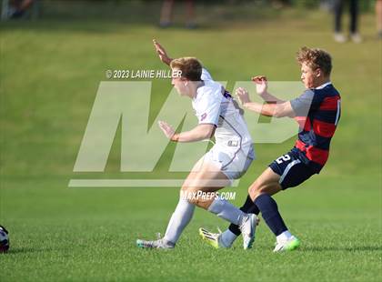 Thumbnail 1 in Buffalo @ Bemidji photogallery.