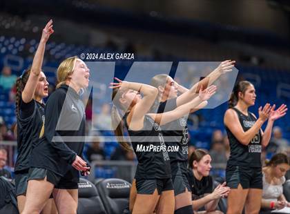 Thumbnail 1 in Mansfield Timberview vs. Cedar Park (UIL 5A Basketball Semifinal) photogallery.