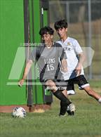 Photo from the gallery "Delta @ Leroy Greene Academy"