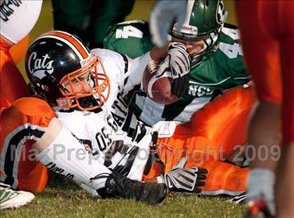 Thumbnail 1 in Homestead vs. Los Gatos photogallery.