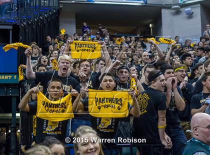 Thumbnail 3 in Griffith vs. Guerin Catholic (IHSAA 3A Final) photogallery.