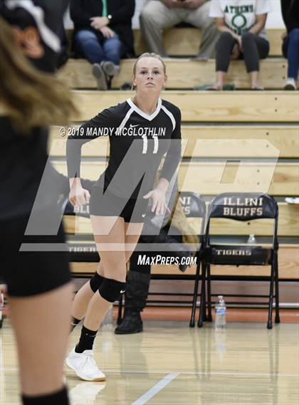 Thumbnail 1 in Athens @ Illini Bluffs photogallery.