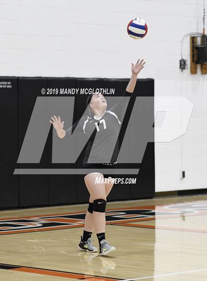 Thumbnail 2 in Athens @ Illini Bluffs photogallery.