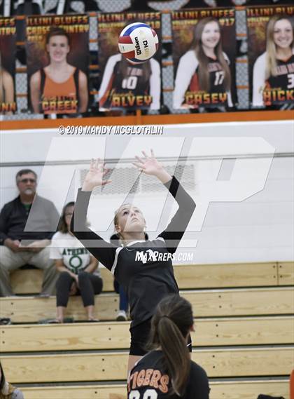 Thumbnail 2 in Athens @ Illini Bluffs photogallery.