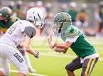 Photo from the gallery "Moorpark @ Oak Park"