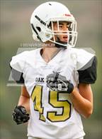 Photo from the gallery "Moorpark @ Oak Park"
