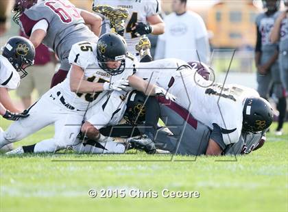 Thumbnail 3 in Honeoye Falls-Lima @ Greece Arcadia photogallery.