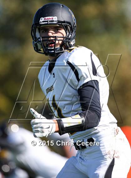 Thumbnail 3 in Honeoye Falls-Lima @ Greece Arcadia photogallery.