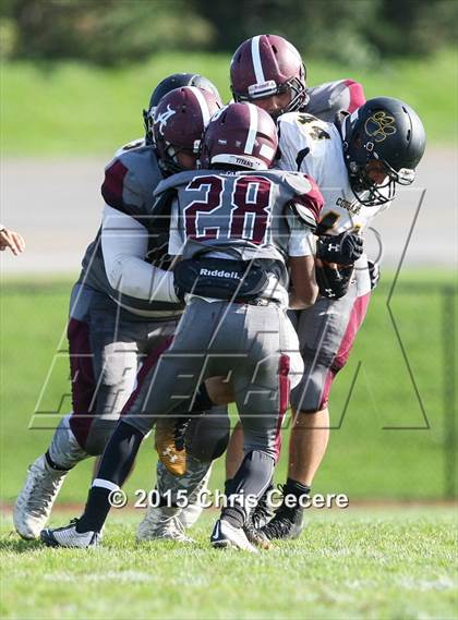 Thumbnail 2 in Honeoye Falls-Lima @ Greece Arcadia photogallery.