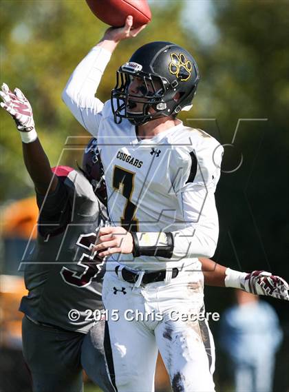 Thumbnail 3 in Honeoye Falls-Lima @ Greece Arcadia photogallery.
