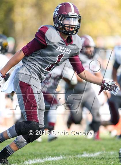 Thumbnail 2 in Honeoye Falls-Lima @ Greece Arcadia photogallery.