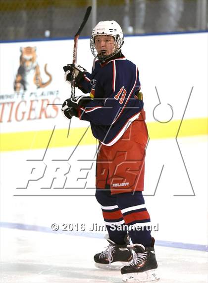 Thumbnail 2 in Eastchester/Tuckahoe/Bronxville @ White Plains photogallery.