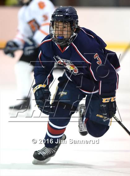 Thumbnail 1 in Eastchester/Tuckahoe/Bronxville @ White Plains photogallery.