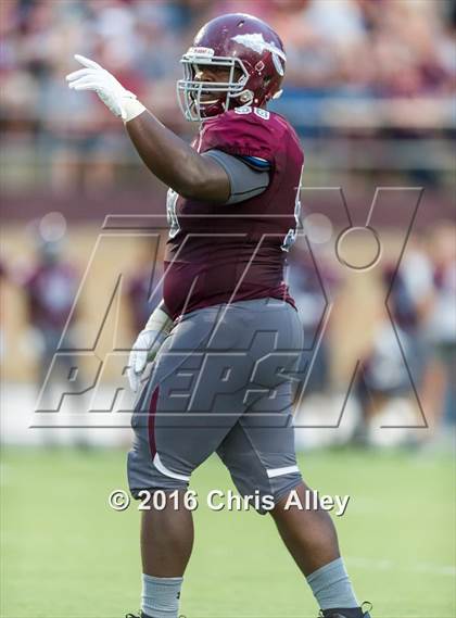 Thumbnail 1 in Tennessee @ Dobyns-Bennett photogallery.