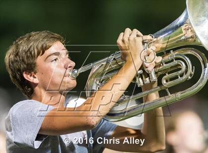 Thumbnail 1 in Tennessee @ Dobyns-Bennett photogallery.