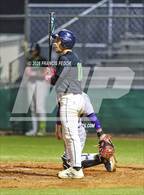 Photo from the gallery "Lennard @ Sumner"
