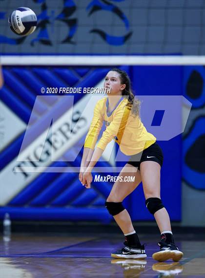 Thumbnail 3 in Leonard @ Gunter photogallery.