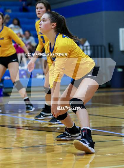 Thumbnail 2 in Leonard @ Gunter photogallery.