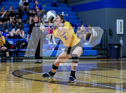 Thumbnail 1 in Leonard @ Gunter photogallery.