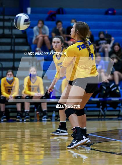 Thumbnail 1 in Leonard @ Gunter photogallery.