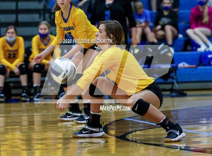 Thumbnail 1 in Leonard @ Gunter photogallery.